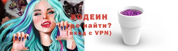 хмурый Снежногорск