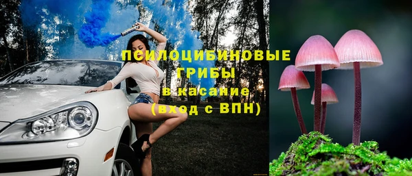 СК Алзамай