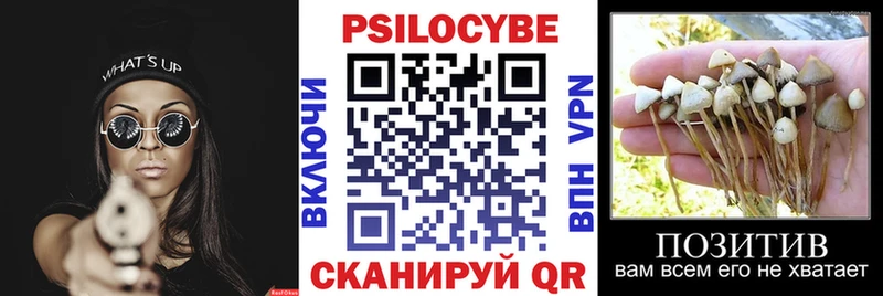 Псилоцибиновые грибы Magic Shrooms  даркнет сайт  Гороховец 